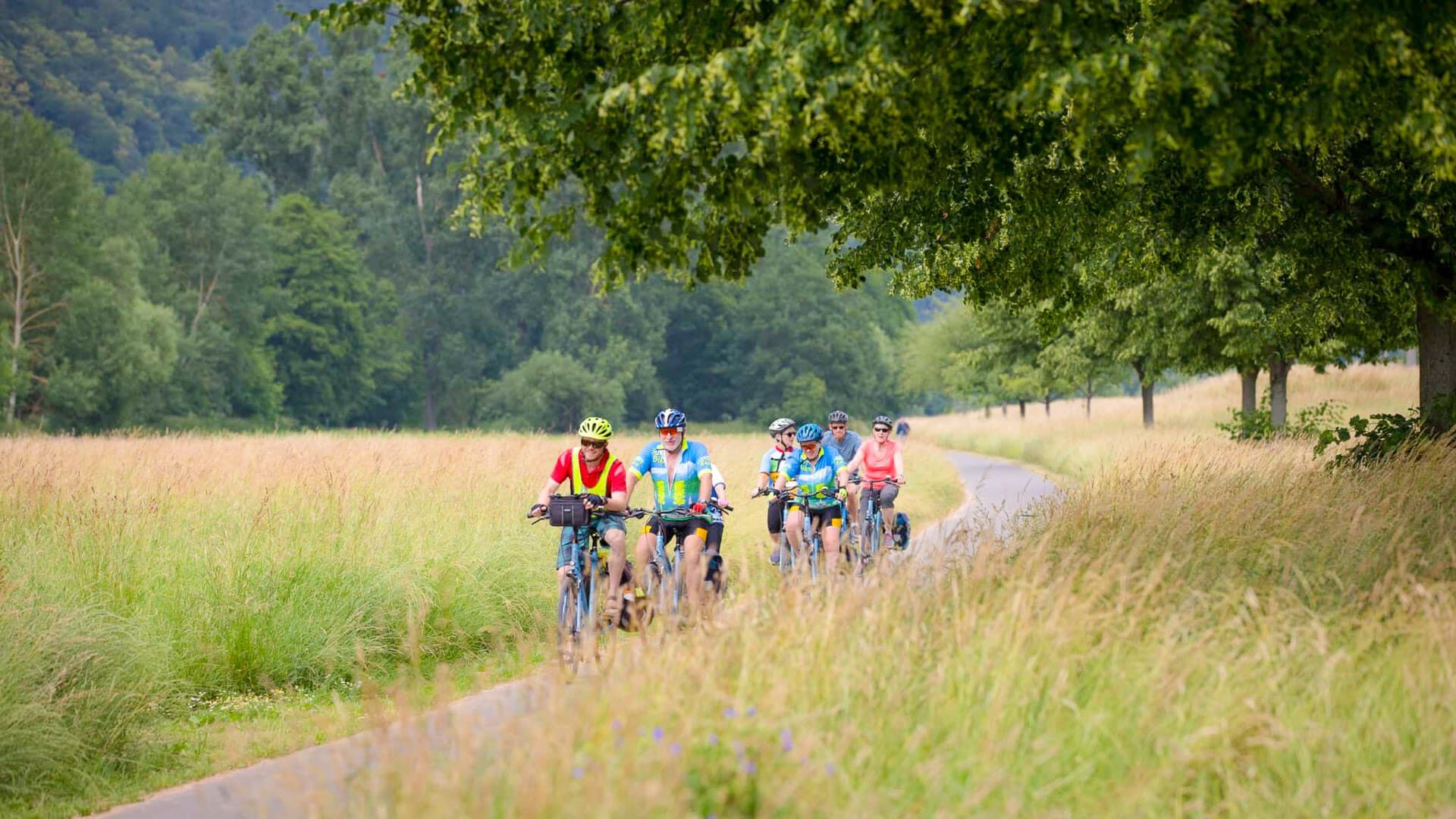 Cyclists exploring a scenic nature trail on a weekend group ride